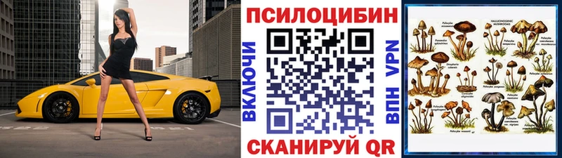 omg   Пионерский  Псилоцибиновые грибы мицелий  наркотики 
